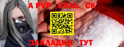 СК Новодвинск