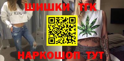СК Новодвинск