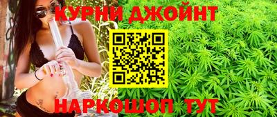 СК Новодвинск