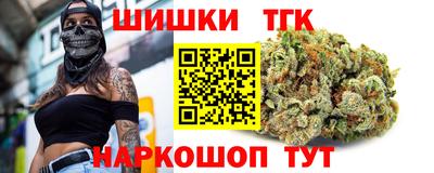 СК Новодвинск