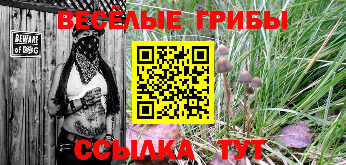 Псилоцибиновые грибы ЛСД Туймазы