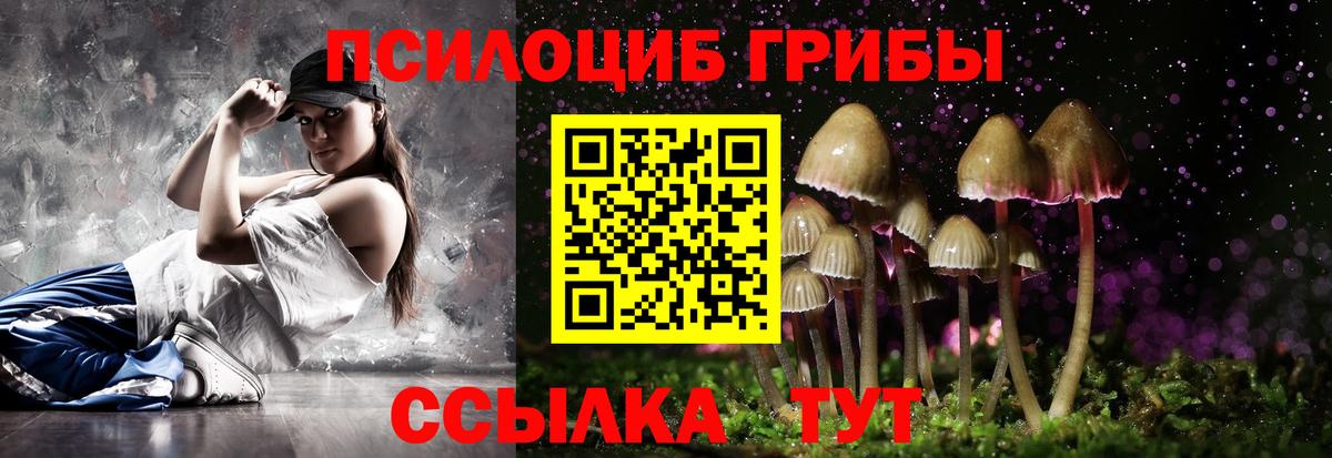 Туймазы  Галлюциногенные грибы Magic Shrooms  Вход с VPN  Галлюциногенные грибы Psilocybe 
